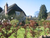 An East Coker Thatched Cottage