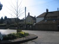 'The Tree' with the bus stop in the background