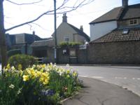 North Coker bus stop