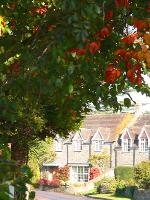 Cottages at North Coker